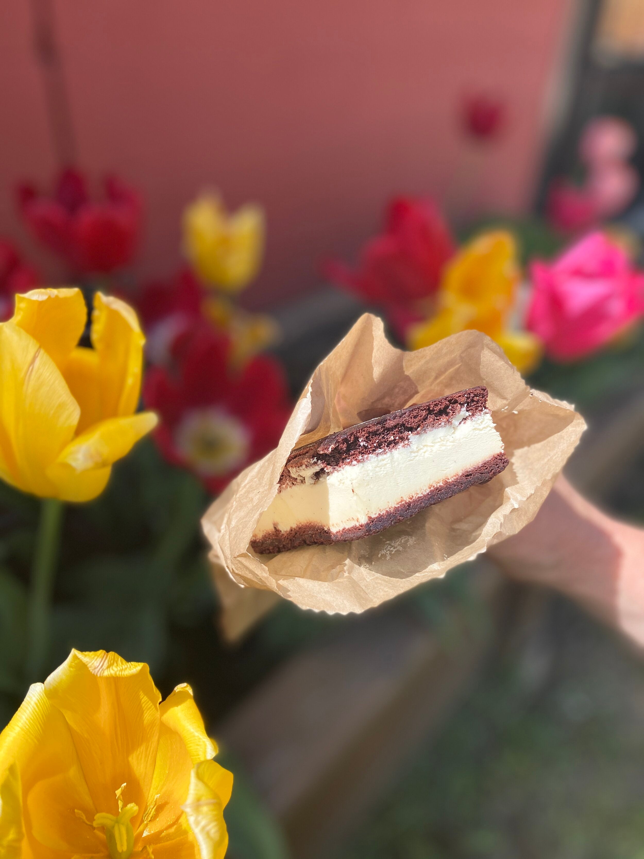 Old School Ice Cream Sandwich Mountain Nugget Chocolate Company